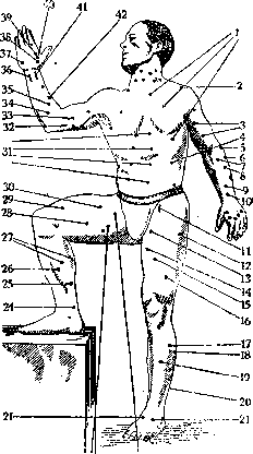 Electrodiagnosis: figure 4 from the 1928–1936 encyclopedia article