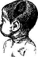 Pelvis: figure 30 from the 1928–1936 encyclopedia article