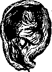 Prostate Gland: figure 9 from the 1928–1936 encyclopedia article