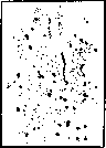 Water Fever: figure 3 from the 1928–1936 encyclopedia article
