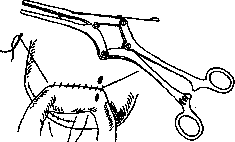 Clamps: figure 1 from the 1928–1936 encyclopedia article
