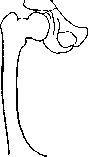 Hip Joint: figure 6 from the 1928–1936 encyclopedia article