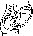Vaginofixation: figure 2 from the 1928–1936 encyclopedia article