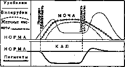 Jaundice: figure 3 from the 1928–1936 encyclopedia article