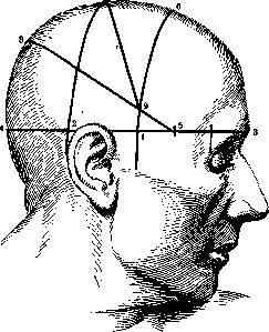 Cerebro-Cranial Topography: figure 7 from the 1928–1936 encyclopedia article