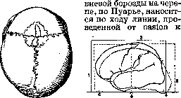 Cerebro-Cranial Topography: figure 3 from the 1928–1936 encyclopedia article