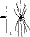 Ureter: figure 12 from the 1928–1936 encyclopedia article