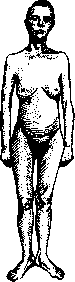 Hermaphroditism: figure 5 from the 1928–1936 encyclopedia article