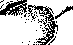 Placenta: figure 1 from the 1928–1936 encyclopedia article