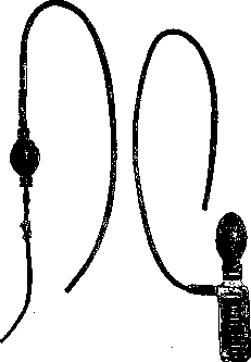 Stomach: figure 21 from the 1928–1936 encyclopedia article
