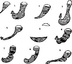 Stomach: figure 23 from the 1928–1936 encyclopedia article
