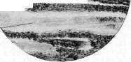 Stomach: figure 30 from the 1928–1936 encyclopedia article