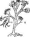 Colorimetry: figure 1 from the 1928–1936 encyclopedia article