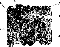 Apocrine Glands: figure 2 from the 1928–1936 encyclopedia article