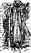 Retropharyngeal Space: figure 1 from the 1928–1936 encyclopedia article