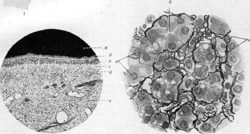 Substituting Processes: figure 1 from the 1928–1936 encyclopedia article