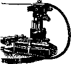 Protozoa (in): figure 5 from the 1928–1936 encyclopedia article