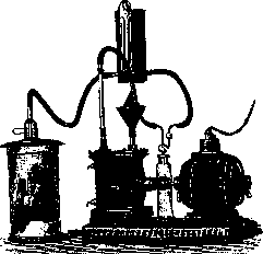 Protozoa (in): figure 7 from the 1928–1936 encyclopedia article