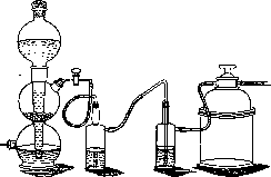 Protozoa (in): figure 6 from the 1928–1936 encyclopedia article