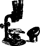 Protozoa (in): figure 3 from the 1928–1936 encyclopedia article
