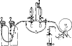 Lungs: figure 31 from the 1928–1936 encyclopedia article