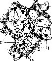 Lungs: figure 28 from the 1928–1936 encyclopedia article
