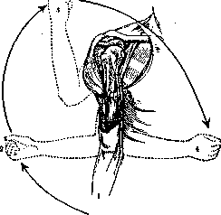 Dislocations: figure 2 from the 1928–1936 encyclopedia article