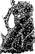 Ovulation: figure 1 from the 1928–1936 encyclopedia article