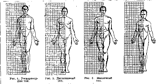 Constitution: figure 2 from the 1928–1936 encyclopedia article