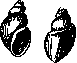 Fascioliasis: figure 4 from the 1928–1936 encyclopedia article