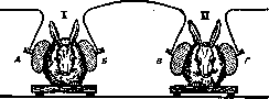Ionotherapy: figure 1 from the 1928–1936 encyclopedia article