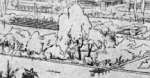 Green Plantations: figure 3 from the 1928–1936 encyclopedia article
