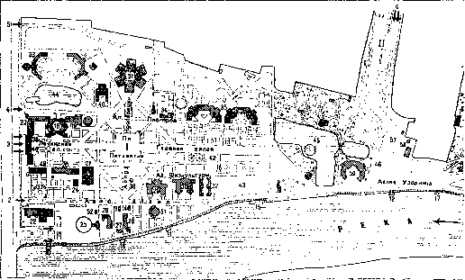 Green Plantations: figure 1 from the 1928–1936 encyclopedia article