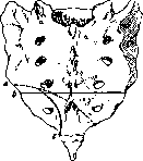 Rectum: figure 23 from the 1928–1936 encyclopedia article