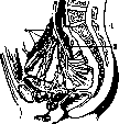 Urinary Bladder: figure 6 from the 1928–1936 encyclopedia article