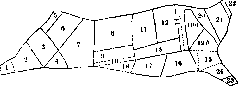 Meat: figure 1 from the 1928–1936 encyclopedia article