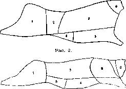 Meat: figure 2 from the 1928–1936 encyclopedia article