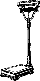 Anthropometry: figure 4 from the 1928–1936 encyclopedia article