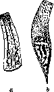 Cell: figure 17 from the 1928–1936 encyclopedia article