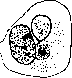 Cell: figure 7 from the 1928–1936 encyclopedia article