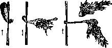 Inflammation: figure 2 from the 1928–1936 encyclopedia article