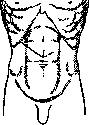 Gallbladder: figure 48 from the 1928–1936 encyclopedia article