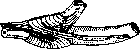 Gallbladder: figure 18 from the 1928–1936 encyclopedia article