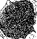 Nucleus Ruber: figure 1 from the 1928–1936 encyclopedia article
