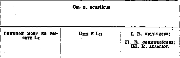 Human Nerves ([For anatomy, physiology and pathology of): figure 3 from the 1928–1936 encyclopedia article