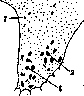 SPINELLI: figure 19 from the 1928–1936 encyclopedia article