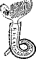 Annelid Worms: figure 2 from the 1928–1936 encyclopedia article