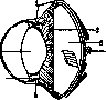 Visual Organs: figure 9 from the 1928–1936 encyclopedia article