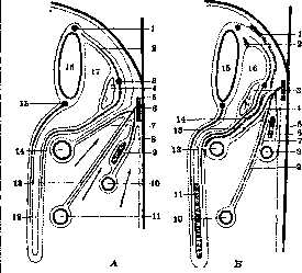 Omentum: figure 5 from the 1928–1936 encyclopedia article