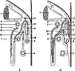 Omentum: figure 2 from the 1928–1936 encyclopedia article